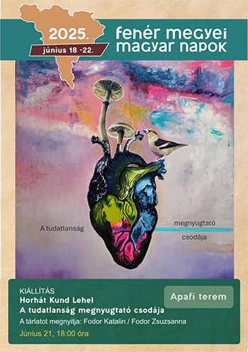 The pleasing wonder of ignorance - Solo exhibition